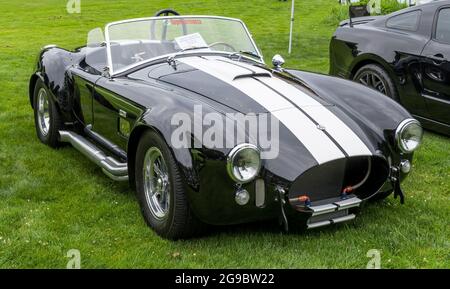 Ein Ford Shelby Cobra aus dem Jahr 1965 wurde beim Pittsburgh Vintage Grand Prix und auf der Automobilausstellung in Pittsburgh, Pennsylvania, USA, ausgestellt Stockfoto