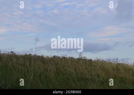 Hügel und Landschaft Devils Dyke, England an einem sonnigen Abend Stockfoto