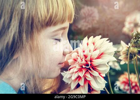 Charmantes 10-jähriges Mädchen mit langen Haaren schnüffelt eine schöne Dahlia Blume und lächelt. Kommunikation der Kinder mit der Natur. Stockfoto