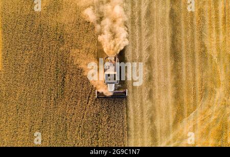 Mähdrescher auf dem Feld bei Sonnenuntergang. Luftaufnahme Stockfoto