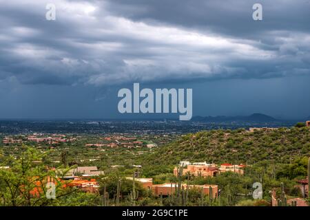 Der wunderschöne Saguaro National Park in Arizona Stockfoto