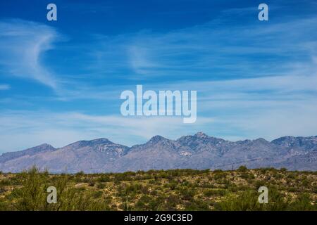 Der wunderschöne Saguaro National Park in Arizona Stockfoto