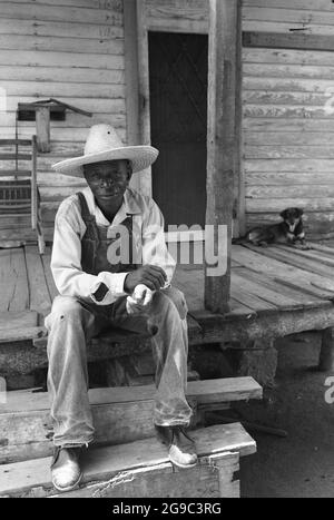 Die Southwest Alabama Farmers Cooperative Association (SWAFCA) wurde 1967 von Albert Turner als wirtschaftlicher Anstoß gegründet, um schwarzen Südstaatlern den Besitz und die Erhaltung ihres eigenen Landes zu ermöglichen. Dies war eine wichtige, aber weitgehend übersehene Entwicklung der Bürgerrechte im tiefen Süden. Stockfoto