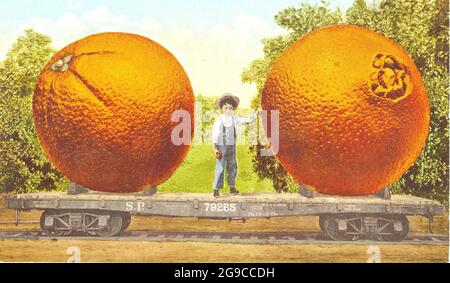 Edward H. Mitchell - Eine Kutsche Mammoth Navel Orangen aus Kalifornien - 1882 - ein Junge, der auf einem Bahnwagen zwischen zwei riesigen Orangen steht. Stockfoto