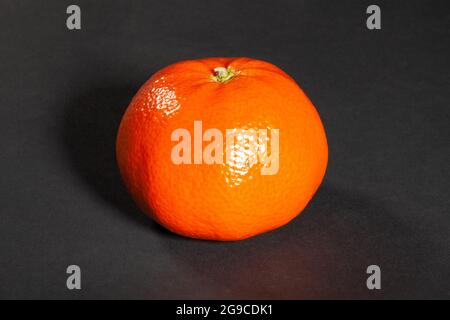 Eine Mandarine auf schwarzem Hintergrund Stockfoto