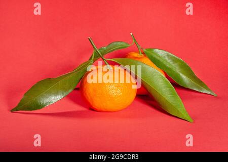Mandarinengruppe auf rotem Hintergrund Stockfoto