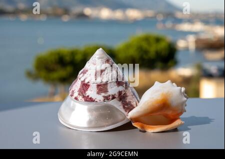 Zwei Muscheln mit blauem Seehafen im Hintergrund Stockfoto