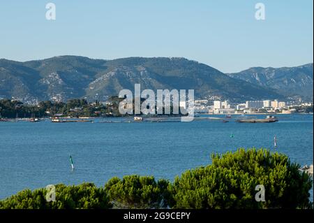 Blick auf den Hafen von Toulon an sonnigen Sommertagen, Var, Frankreich Stockfoto