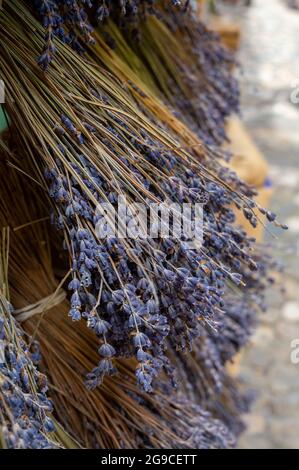 Trauben von aromatischen getrockneten Lavendel- oder Lavandin-Blumen zum Verkauf im Geschäft in der Provence, Frankreich Stockfoto