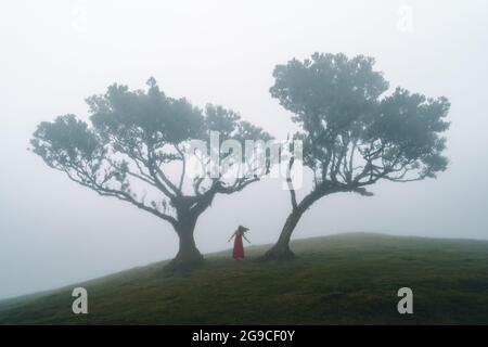 Eine junge Frau in einem roten Kleid, die zwischen den Bäumen in einem mystischen Wald tanzt. Moody Fanal Forest auf Madeira Stockfoto