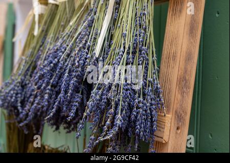 Trauben von aromatischen getrockneten Lavendel- oder Lavandin-Blumen zum Verkauf im Geschäft in der Provence, Frankreich Stockfoto