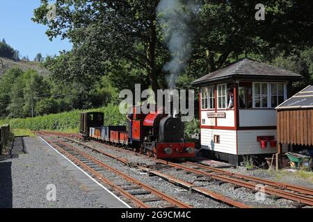 Die Nr. 7 kommt mit einem Schieferzug auf der Corris Railway am 19.7.21 vom Bahnhof Maestoeth weg. Stockfoto