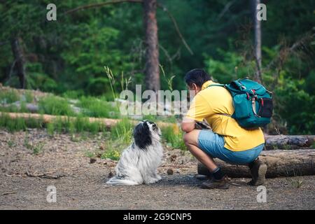 Wandern mit einem Hund in einem Nadelwald. Seitenansicht des Menschen und des schönen tibetischen Terrier-Hundes im Wald, die sich gegenseitig in die Augen schauen. Stockfoto