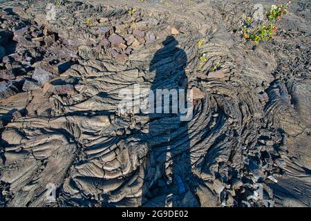 Kräftige Pflanzen, die in schwarzem Lavagelände wachsen. Der Schatten des Fotografen. Blick auf den Volcanoes National Park, die Big Island von Hawaii, USA. Juni 20 Stockfoto