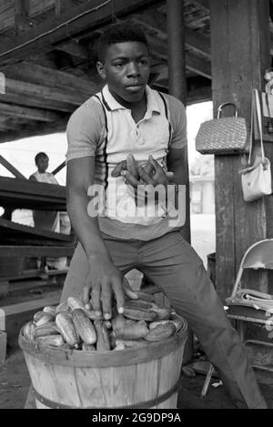 Die Southwest Alabama Farmers Cooperative Association wurde 1967 von Albert Turner als wirtschaftlicher Anstoß gegründet, um schwarzen Südstaatlern den Besitz und die Erhaltung ihres eigenen Landes zu ermöglichen. Dies war eine wichtige, aber weitgehend übersehene Entwicklung der Bürgerrechte im tiefen Süden. Stockfoto