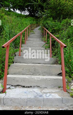 Mit Gras überwuchert, geht eine lange Betontreppe mit einem Eisengeländer weit hinauf in ein Dickicht aus grünen Bäumen. Selektiver Fokus. Stockfoto