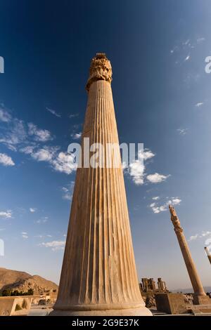 Persepolis am Abend, massive Steinsäule der Apadana Ruinen, Hauptstadt des Achaemeniden Reiches, Fars Provinz, Iran, Persien, Westasien, Asien Stockfoto