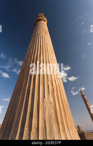 Persepolis am Abend, massive Steinsäule der Apadana Ruinen, Hauptstadt des Achaemeniden Reiches, Fars Provinz, Iran, Persien, Westasien, Asien Stockfoto