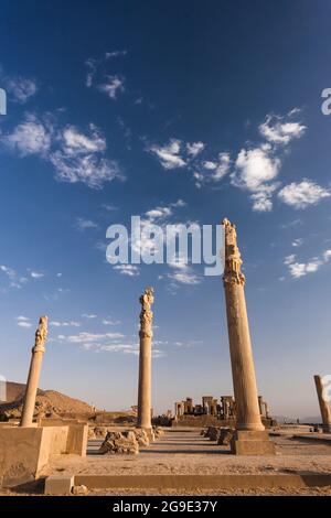 Persepolis am Abend, massive Steinsäulen der Apadana Ruinen, Hauptstadt des Achaemeniden Reiches, Fars Provinz, Iran, Persien, Westasien, Asien Stockfoto