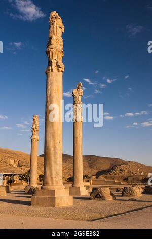 Persepolis am Abend, massive Steinsäulen der Apadana Ruinen, Hauptstadt des Achaemeniden Reiches, Fars Provinz, Iran, Persien, Westasien, Asien Stockfoto