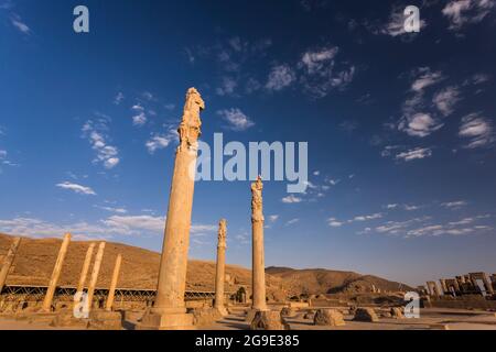 Persepolis am Abend, massive Steinsäulen der Apadana Ruinen, Hauptstadt des Achaemeniden Reiches, Fars Provinz, Iran, Persien, Westasien, Asien Stockfoto