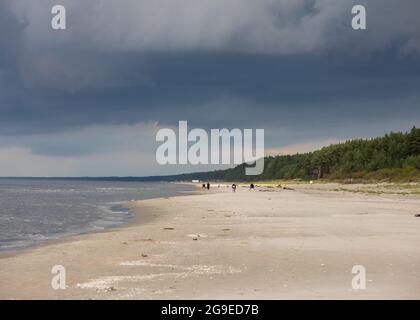 Stegna, Polen - 4. September 2020: Ein wunderschöner Strand für lange Spaziergänge an der Weichselspinne zwischen Jantar und Stegna. Polen Stockfoto