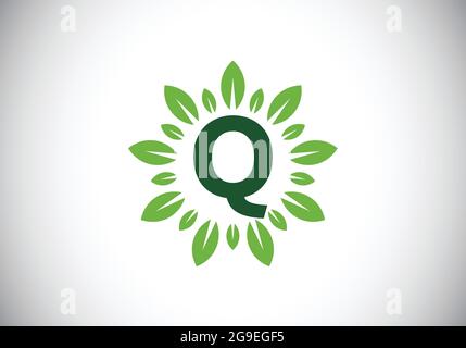 Anfängliches Q-Monogramm-Alphabet mit Blattkranz. Grünes Blatt, Blume Logo Design-Konzept. Modernes Vektor-Logo-Design für Unternehmen und Unternehmen Stock Vektor