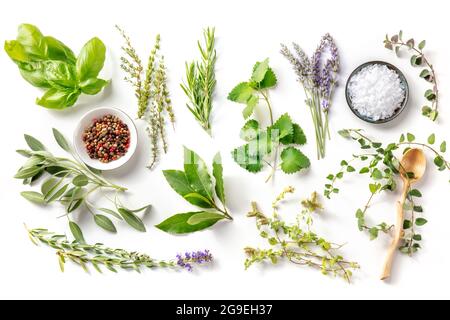 Frische aromatische Kräuter, darüber liegend flach auf weißem Hintergrund mit Gewürzen geschossen. Trauben von Rosmarin, Basilikum, Thymian und verschiedenen anderen kulinarischen Pflanzen Stockfoto
