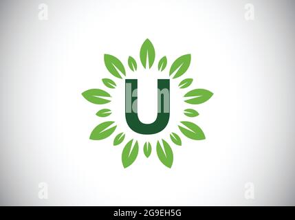 U-Monogramm Buchstabe Alphabet mit Blattkranz. Grünes Blatt, Blume Logo Design-Konzept. Modernes Vektor-Logo-Design für Unternehmen und Unternehmen Stock Vektor