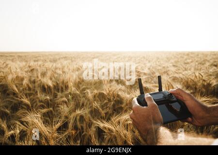 Männliche Hände mit Fernbedienung des Quadcopters im Weizenfeld Stockfoto