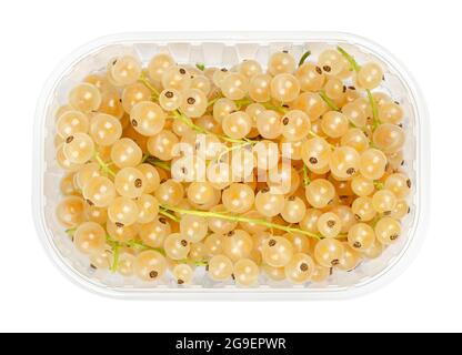 Weiße Johannisbeeren, in einem Plastikbehälter. Frische reife weißrote Beeren, kugelförmige essbare Früchte von Ribes rubrum, einer roten Johannisbeersorte. Stockfoto