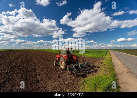 Traktor mit alter traditioneller Sämaschine im Frühjahr auf dem Feld Stockfoto