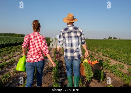 Bäuerin mit Gießkannenbewässerung beim Spazierengehen im Pfefferfeld. Junger Bauer mit Strohhut und Gummistiefeln, die Korb mit Gemüse tragen. Stockfoto