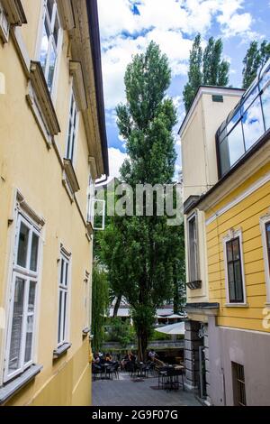 Ljubljana, Slowenien - 15. Juli 2017: Blick auf eine Allee in der Innenstadt von Ljubljana an einem sonnigen Tag Stockfoto