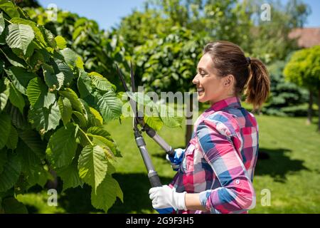 Junger Gärtner, der im Garten mit Scheren Baum fräsen arbeitet. Attraktive Mädchen lächeln Gartenarbeit im Sommer. Stockfoto