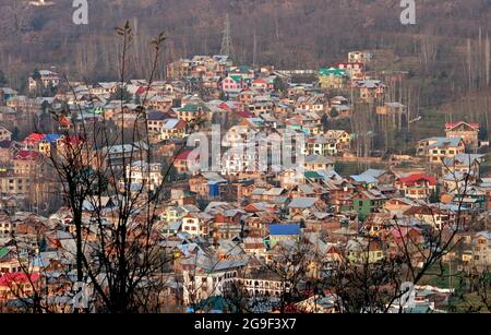 Bunte Häuser von Srinagar, Kaschmir, Indien Stockfoto