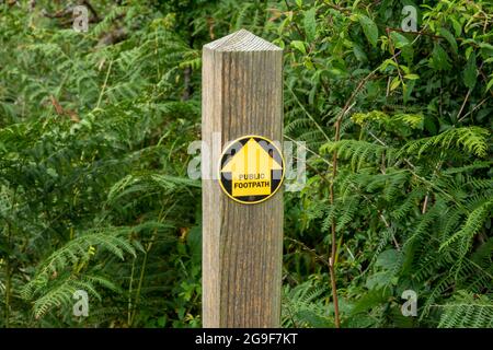 Öffentliches Wegweiser auf einer Rundstraße mit gelbem Pfeil auf schwarzem Hintergrund, montiert auf einem Holzpfosten, der geradeaus zeigt. Stockfoto