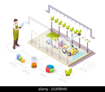 Roboter arbeitet im Gewächshaus. Isometrischer Landwirt, automatisiertes Gewächshaus mit Roboterarm. Intelligente Landwirtschaft, Vektor. Stock Vektor