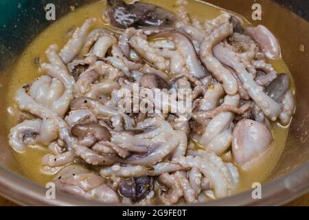 Schüssel mit frischen rohen Babyoktopusse bereit zum Kochen Stockfoto