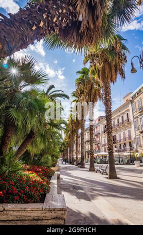 BARI, ITALIEN - 10. SEPTEMBER 2017: Palmenallee, schöne Straße von Bari. Bari ist die Hauptstadt der Region Apulien, an der Adria, in Italien. Heller sonniger Sommertag. Stockfoto