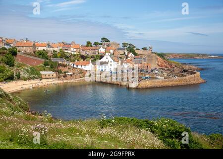 Erhöhter Blick auf Crail Harbour, East Neuk of Fife, Schottland Stockfoto