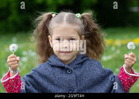 Portrat des kaukasischen Mädchens von fünf Jahren, das im Sommerpark in zwei Händen einen Dandelion hält Stockfoto