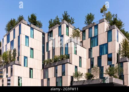 Das Designhotel Ruby Ella mit bepflanzter Fassade auf der Straße Hohenzollernring, Architekt Christoph Ingenhoven, Köln, Deutschland. das Designhotel Ruby Stockfoto