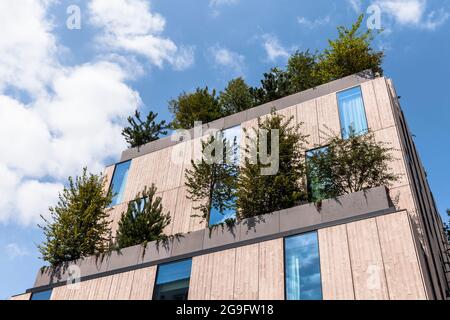 Das Designhotel Ruby Ella mit bepflanzter Fassade auf der Straße Hohenzollernring, Architekt Christoph Ingenhoven, Köln, Deutschland. das Designhotel Ruby Stockfoto