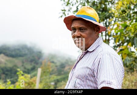Leitender afroamerikanischer Landwirt, der auf dem Land steht Stockfoto