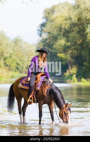 Arabisches Pferd. Eine westliche Reiterin lässt ihre Lorbeerstute aus einem Fluss trinken. Österreich Stockfoto