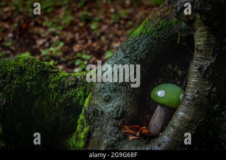Grüner Toadstool im Baumstumpf neugierige Walddetails Stockfoto
