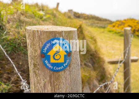 Schild mit Hinweis auf den Küstenpfad von Wales an der Bucht von Hell’s Mouth in der Nähe von Abersoch auf der Halbinsel Llyn Stockfoto