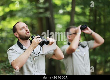 26. Juli 2021, Nordrhein-Westfalen, Rösrath: Die Förster Holger Beding (l) und Lutz Jaschke untersuchen mit einem Fernglas den Zustand von Buchen im Königsforst-Wald. Das Staatliche Forstamt hat mit der Untersuchung des Waldzustands begonnen. Foto: Oliver Berg/dpa Stockfoto