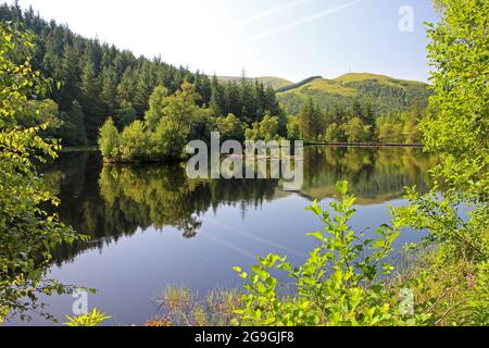 Glencoe Lochan Baumreflexionen im Sommer, Glencoe, Highlands Stockfoto